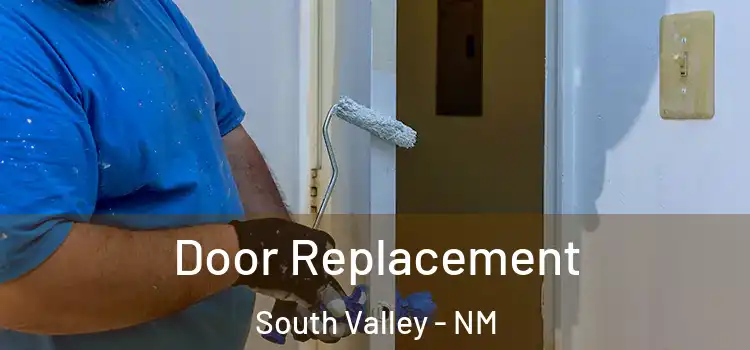 Door Replacement South Valley - NM