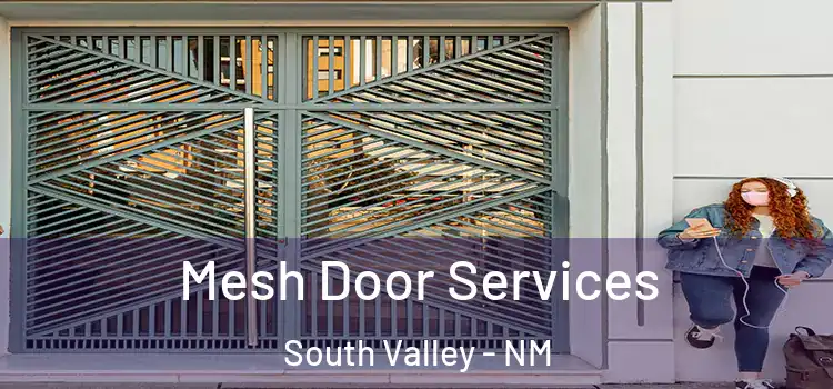 Mesh Door Services South Valley - NM